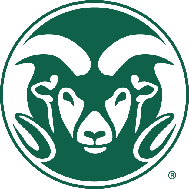 Colorado State Rams 1993-2014 Alternate Logo v2 DIY iron on transfer (heat transfer)